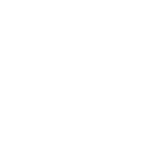 Debt Ninjas Logo